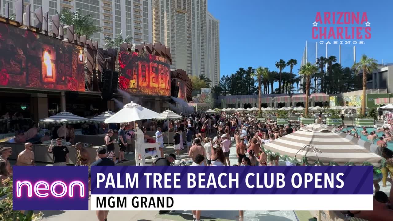 Palm Tree Beach Club Opens at MGM Grand