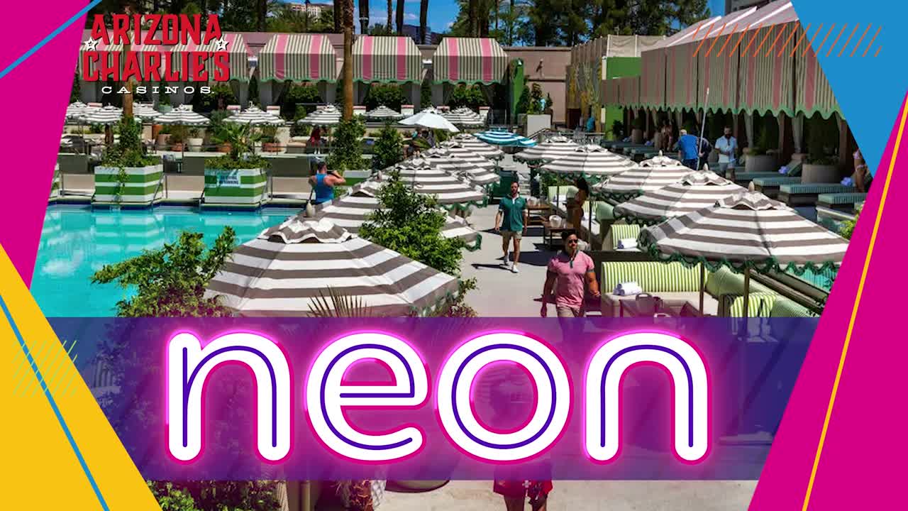 A look at Palm Tree Beach Club