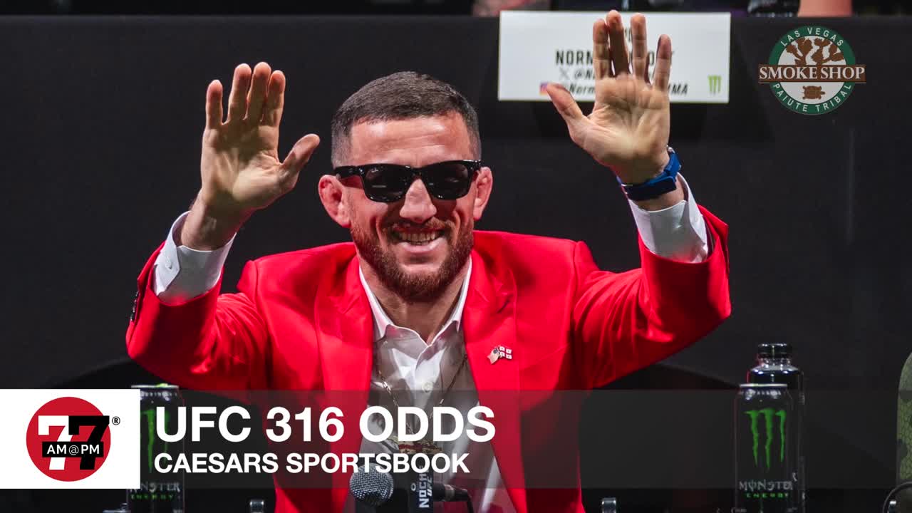 UFC 316 Odds