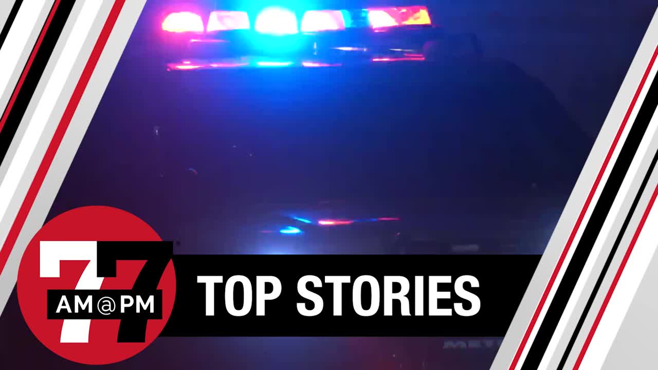 Las Vegas man left 4 dogs in car, causing deaths, police say