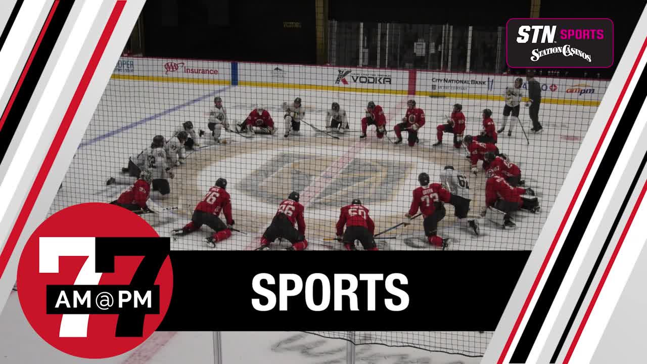 VGK Free Agency roundup