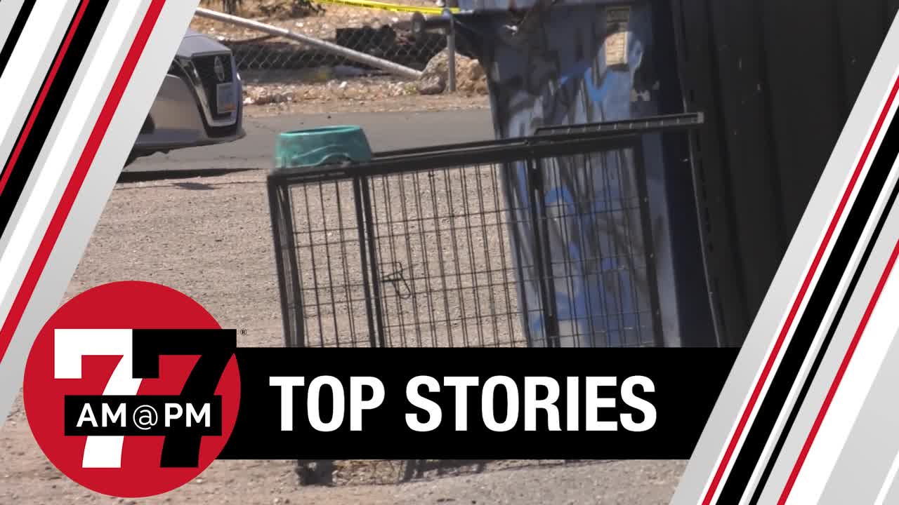 Police investigate after dog found dead in crate near Las Vegas dumpster