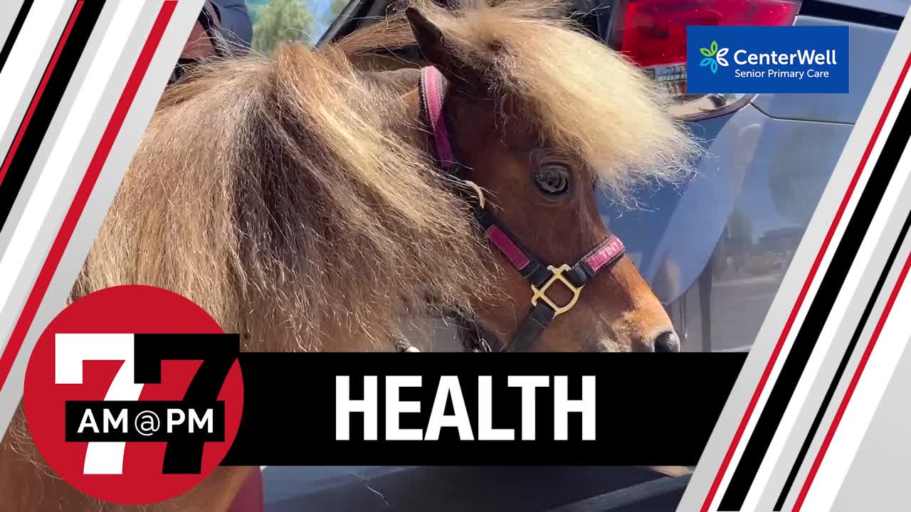 Miniature Horse Visits Young Patients