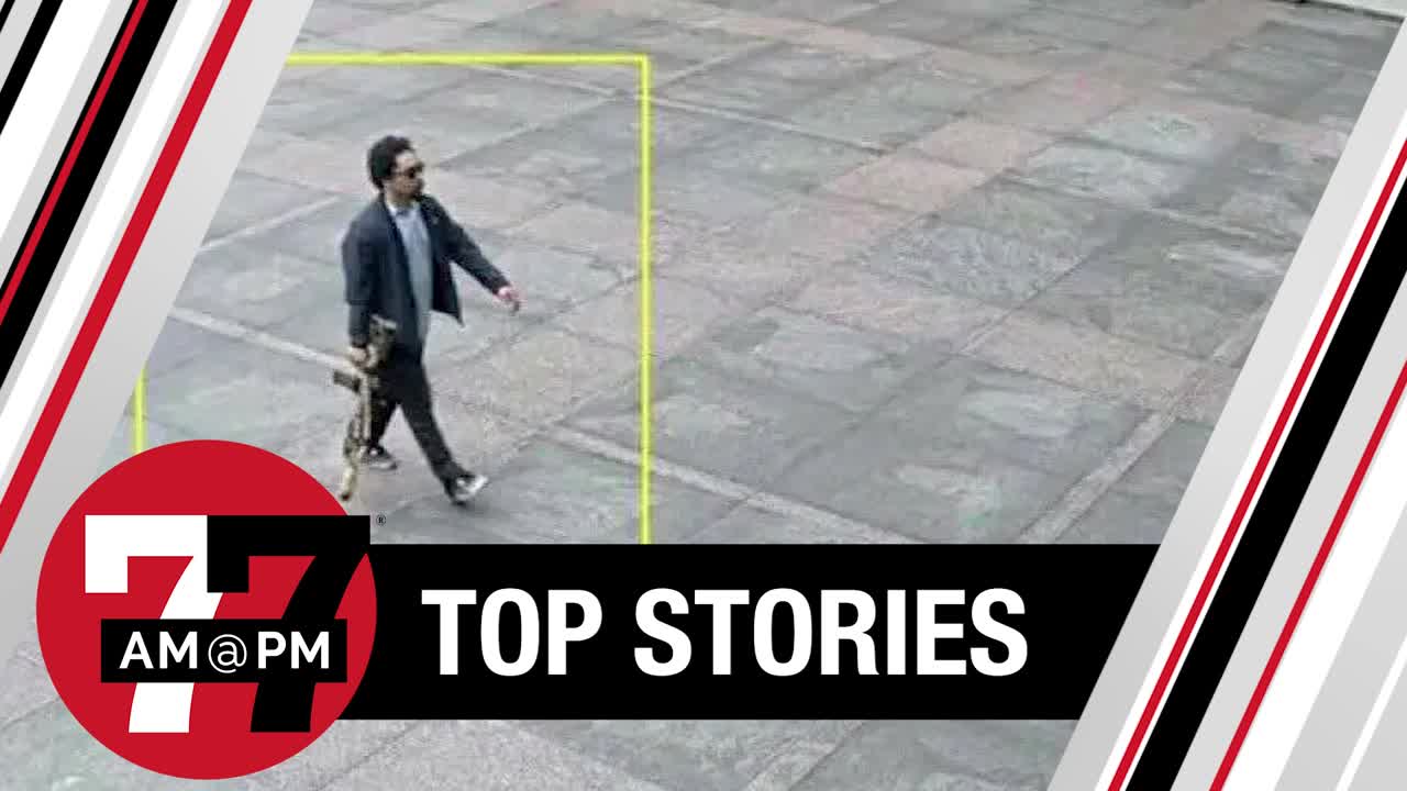 Horseshoe supervisor legally sold assault rifle to NYC gunman, lawyer says