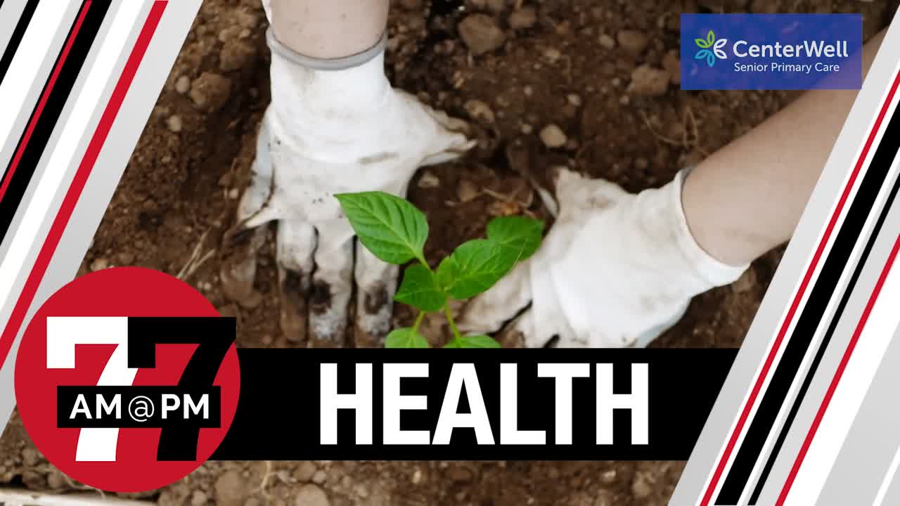 How digging in the dirt could bolster mental well-being