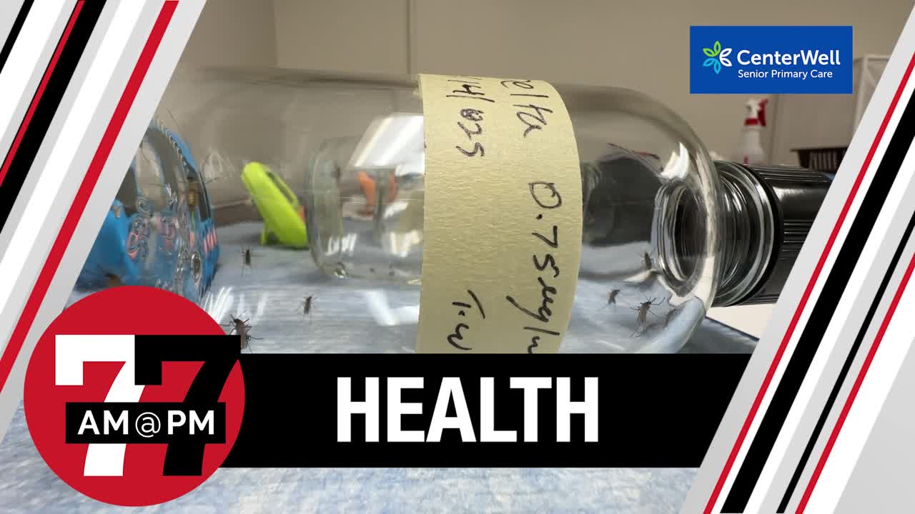 Public health experts eye control district as mosquitoes swarm Summerlin