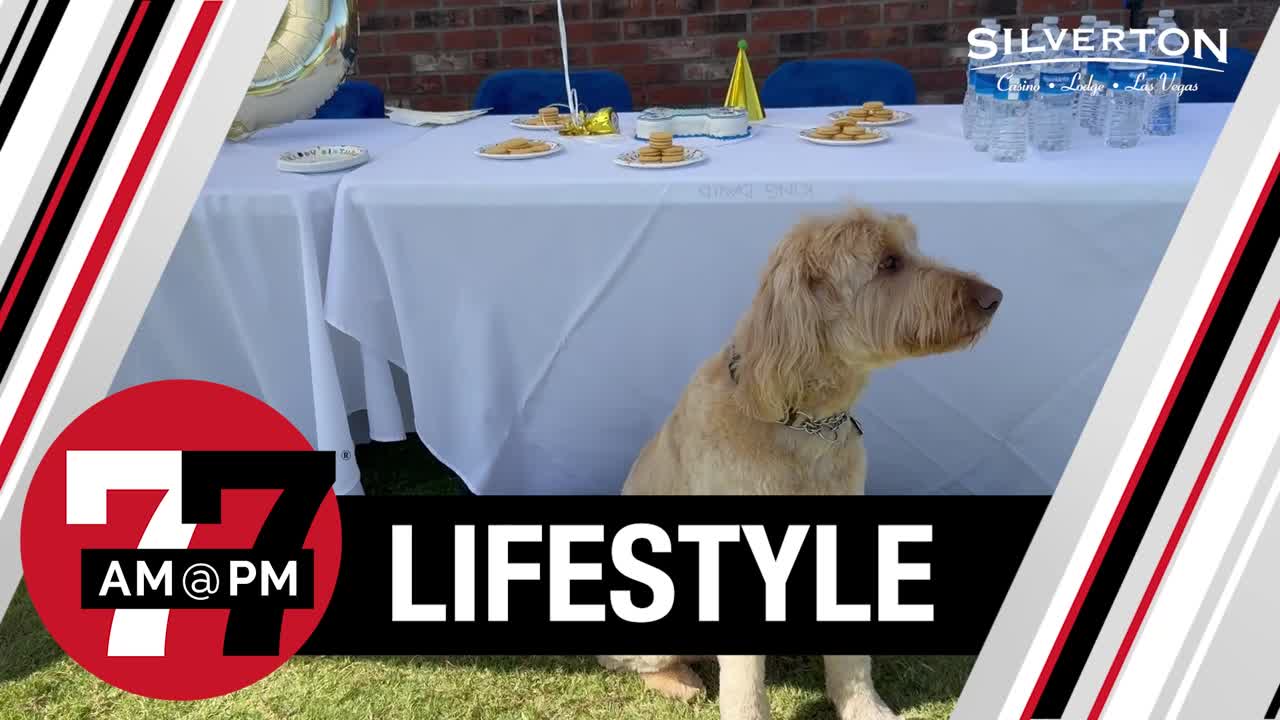 Birthday party for therapy dog kicks off local pet supply drive