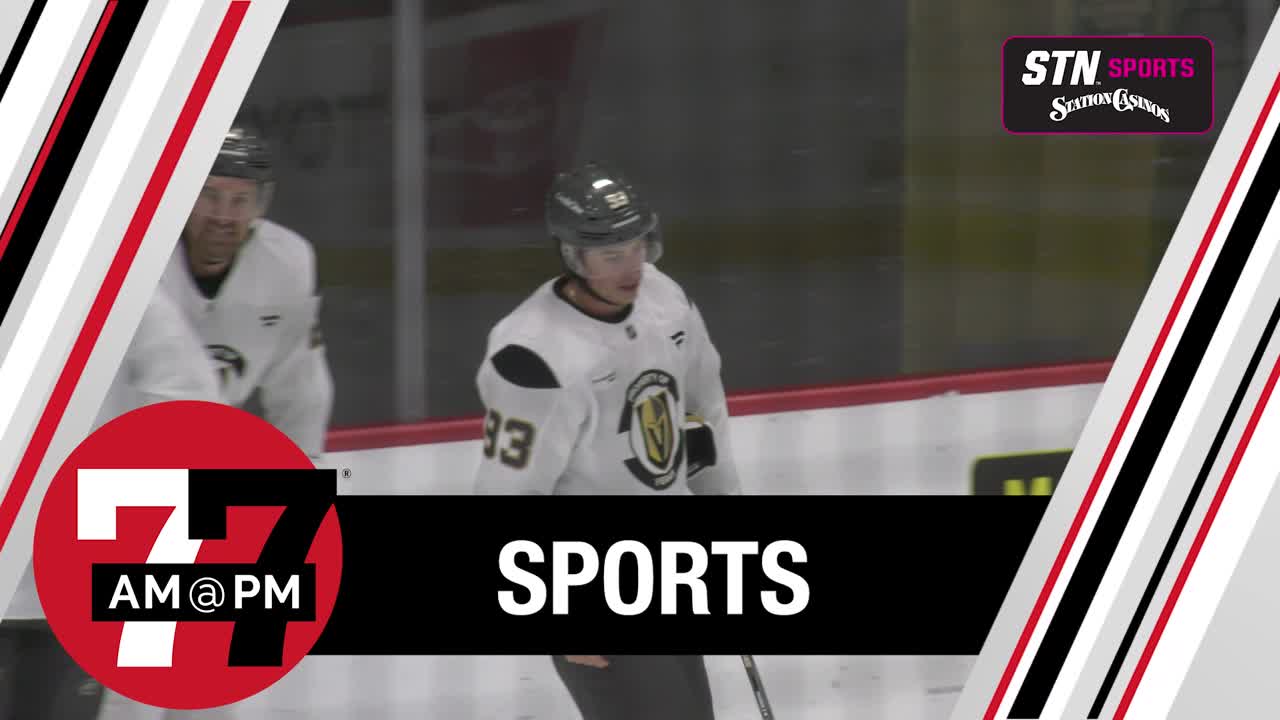 VGK opens season against Kings