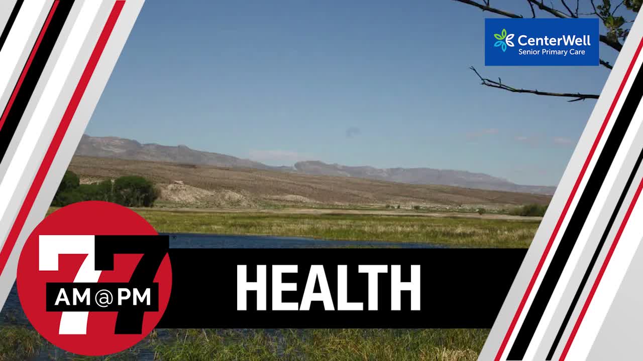 Nevada hunting areas hit by potential outbreak of bird flu