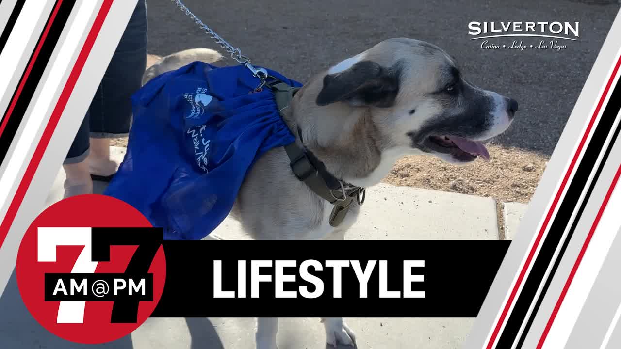 Dogs celebrate spooky season in North Las Vegas