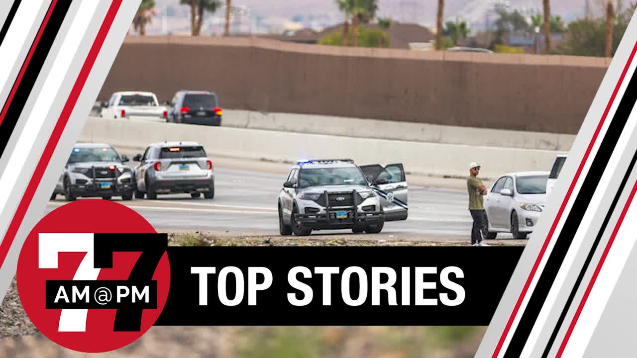 11-year-old killed, suspect in custody after road rage shooting on 215 Beltway