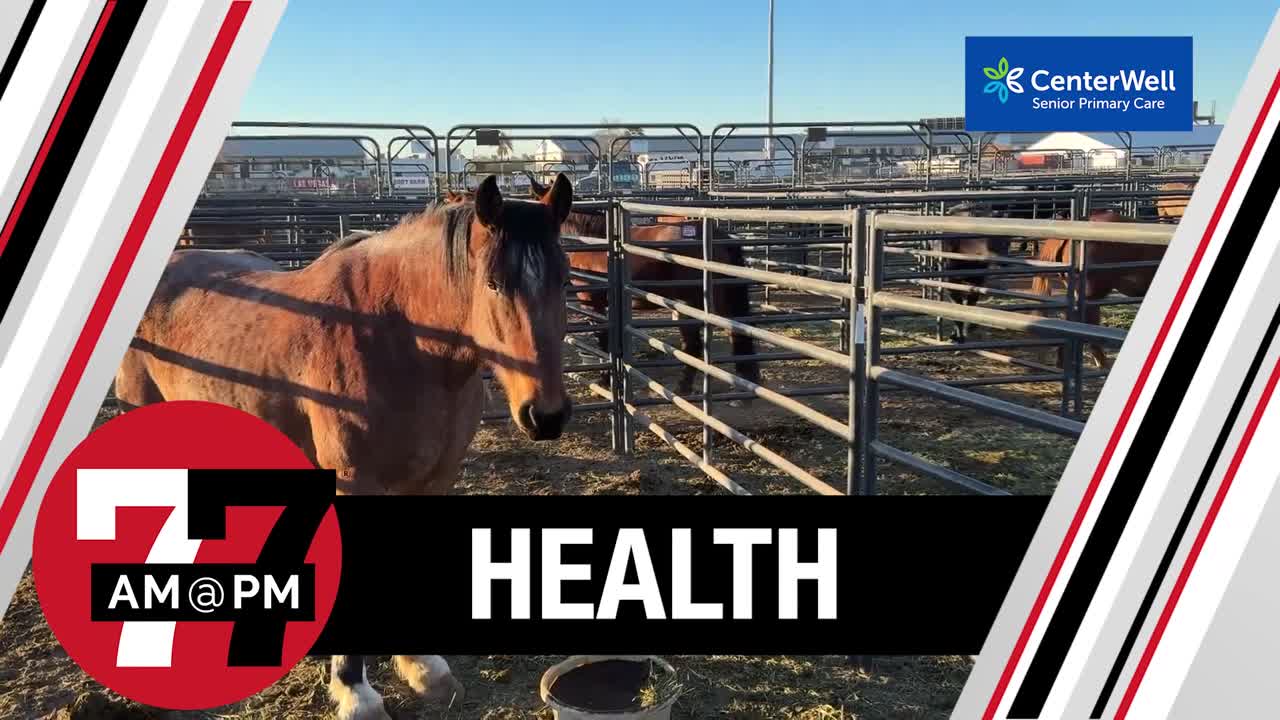 Handful of rodeo events canceled due to equine herpes virus