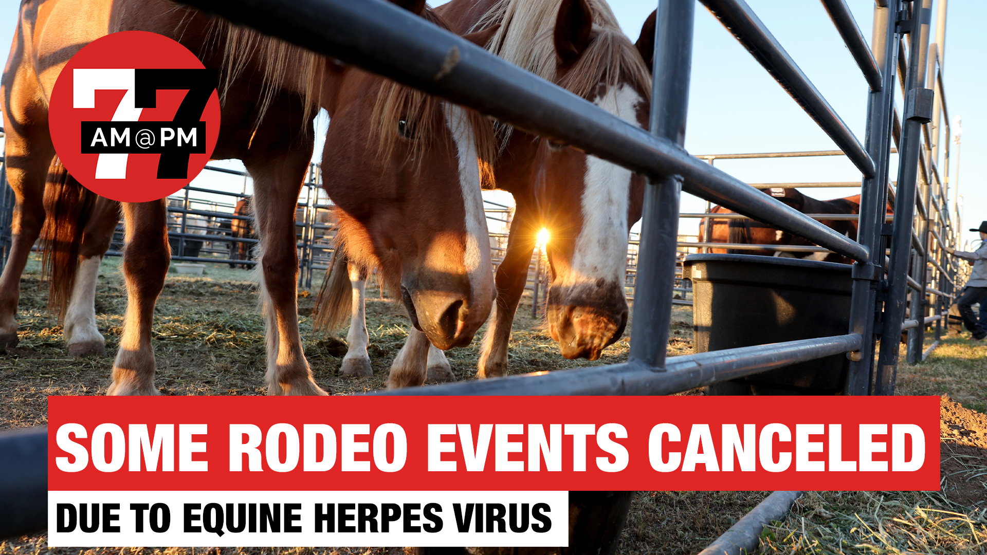 7@7 PM for Thursday, December 4, 2025