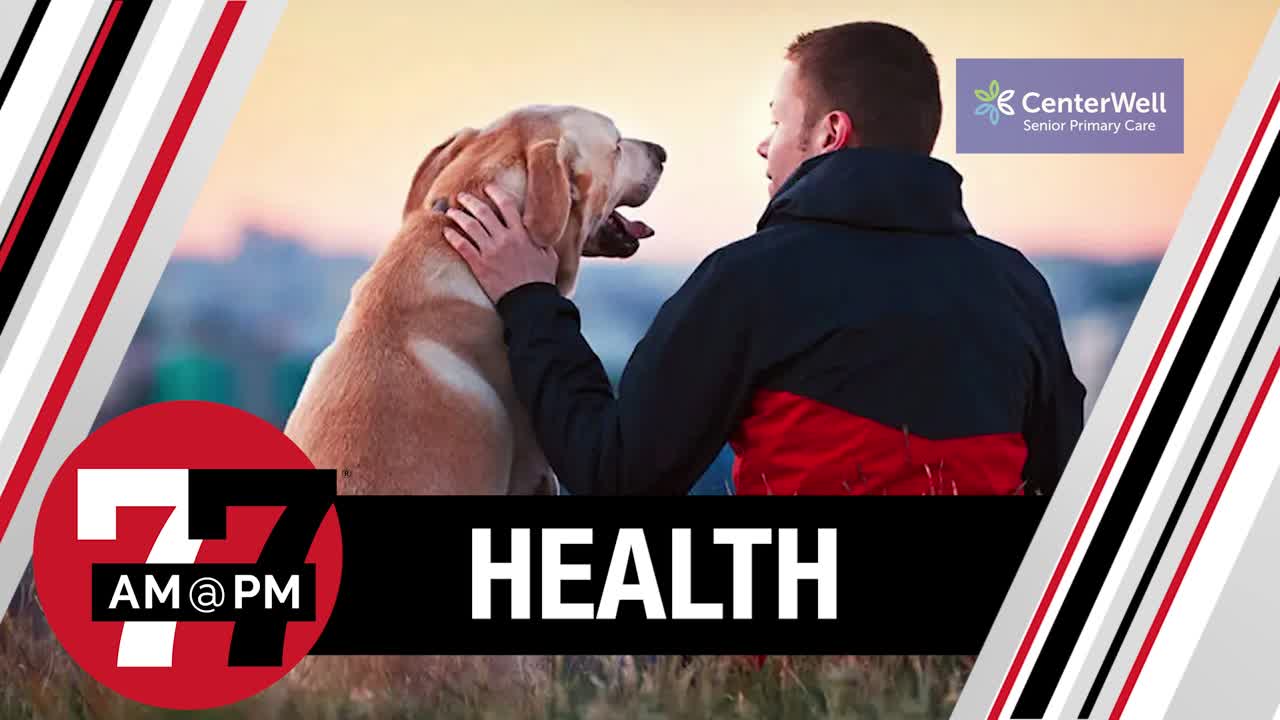 Dog food recall: Check your freezer