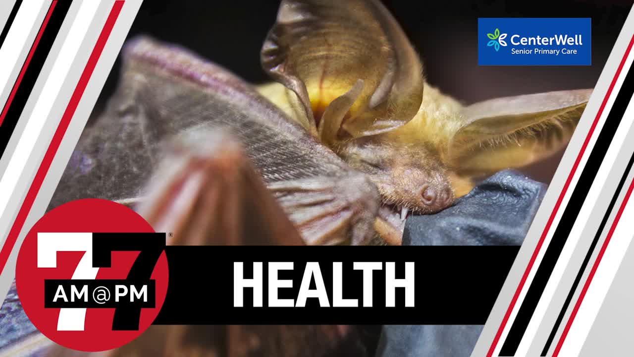 Diseased bats may have arrived in Las Vegas