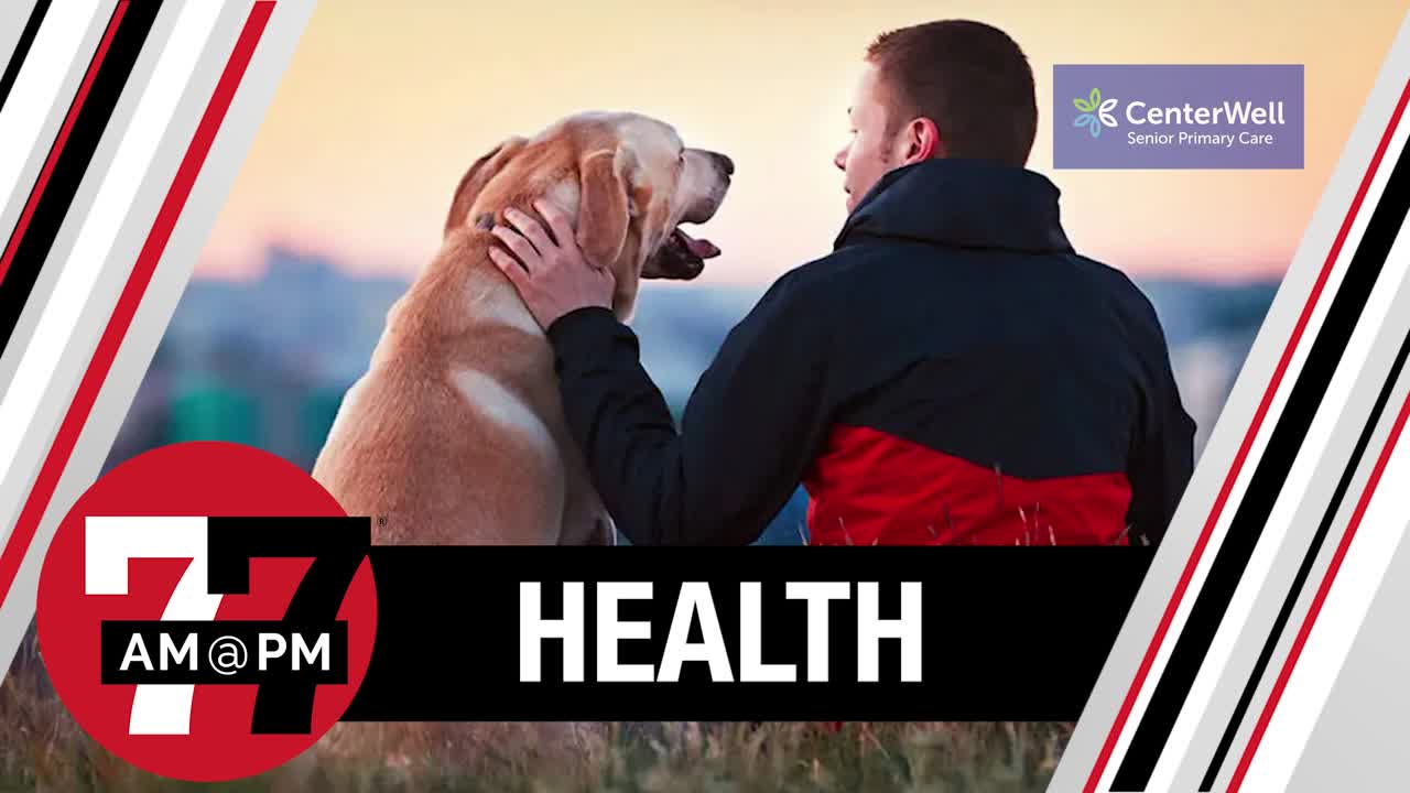 Dog food recall: Check your freezer