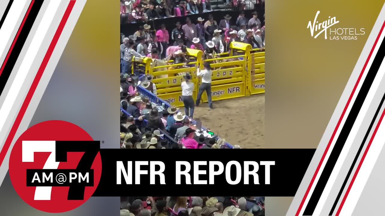 Legendary Saddle Bronc Horse Virgil