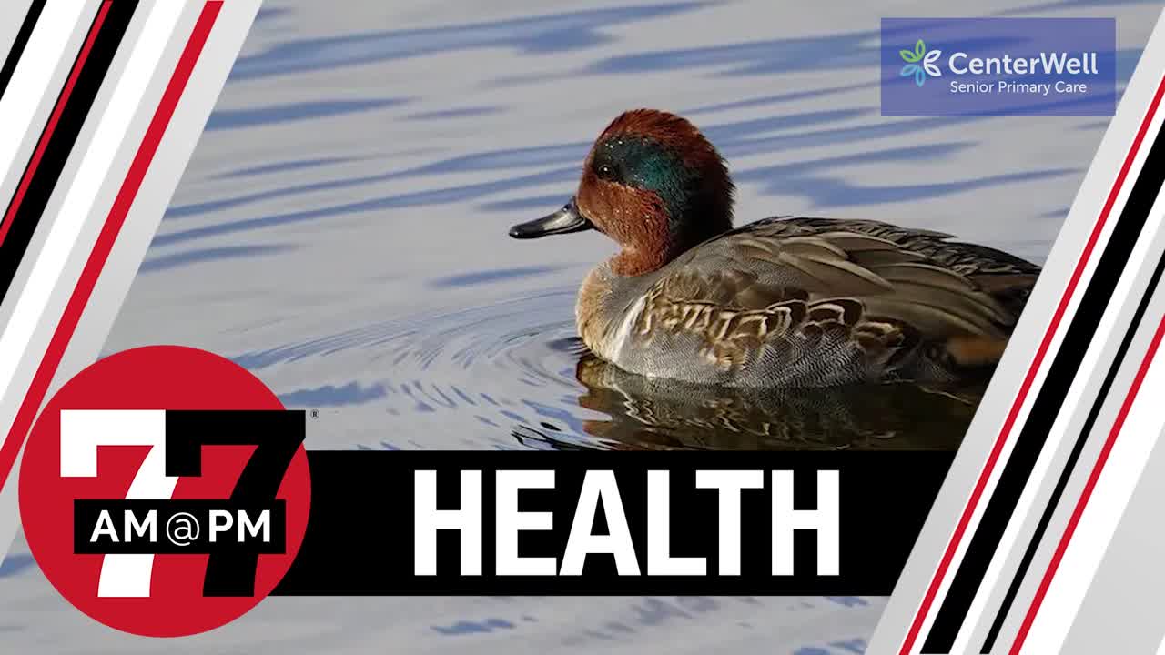 Migrating birds enliven winter walks in Southern Nevada