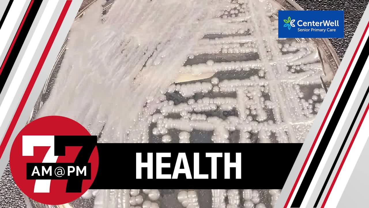 Candida Auris still dangerous for Nevada