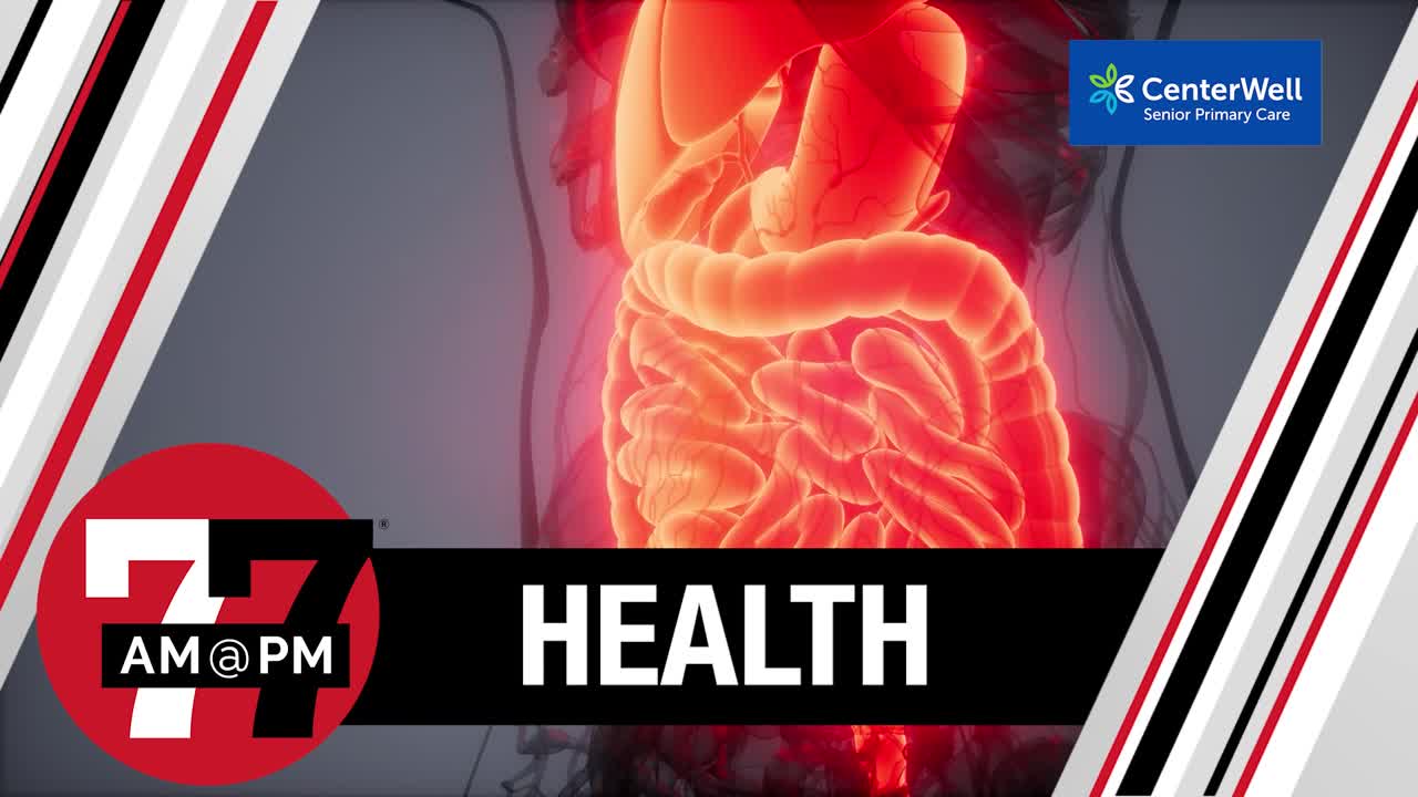 What happens to your body when you eat fermented foods every day?