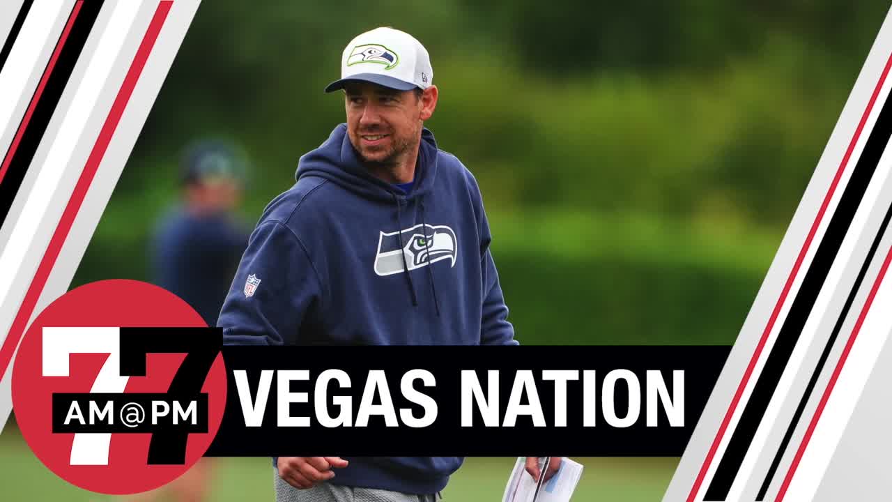 Which coaches to watch during NFL conference games