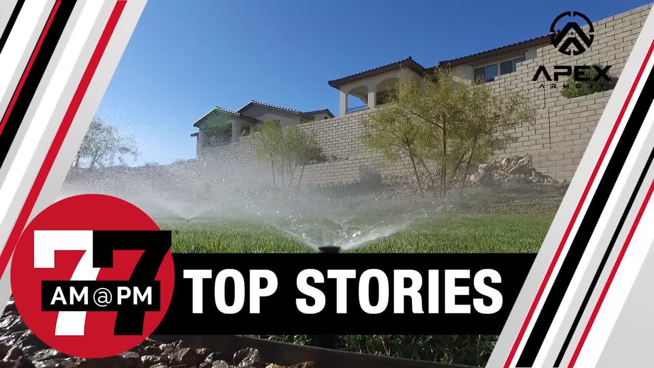 Judge temporarily blocks water authority from enforcing 'useless grass' ban