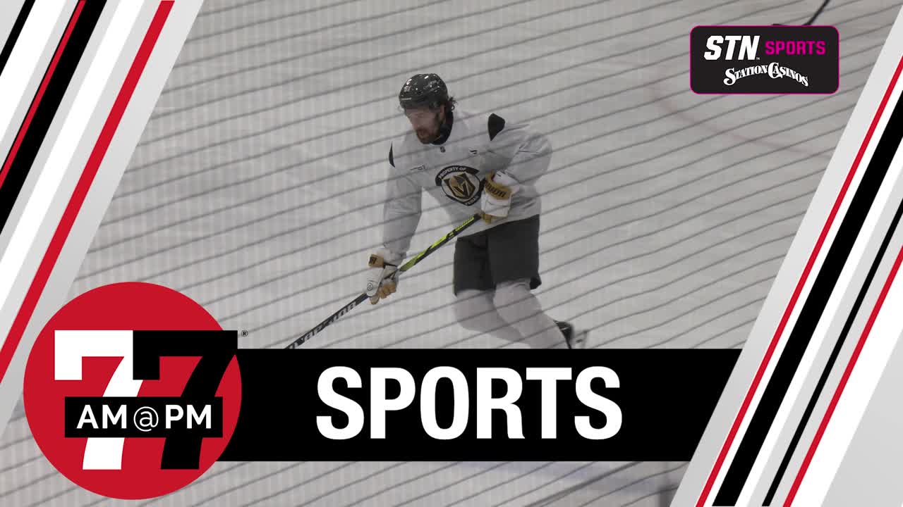 VGK sliding toward olympic break