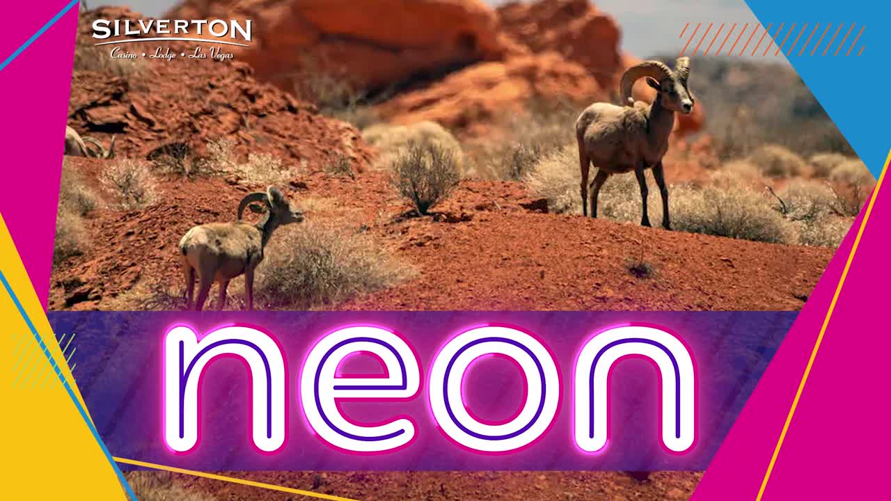 Popular trails at Valley of Fire, Lake Mead to close for summer