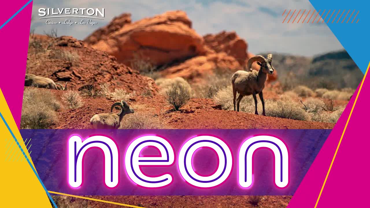 Visit any of Nevada’s state parks on June 13 for free