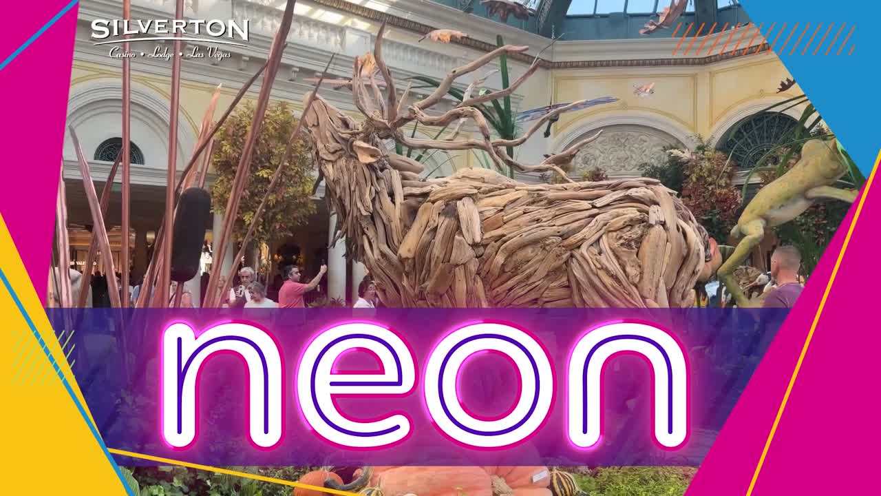 Take a look at Bellagio conservatory's new fall display