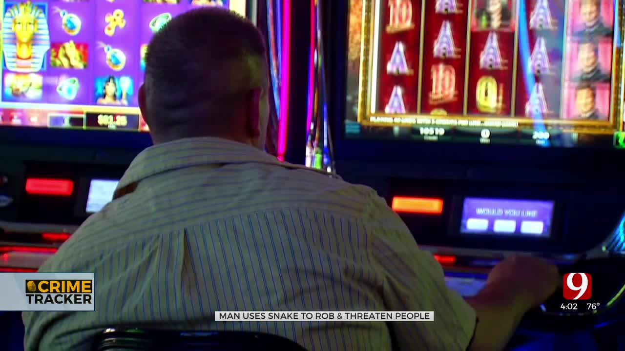 Reptile Robbery? Man Accused Of Using Snake In Casino Robbery