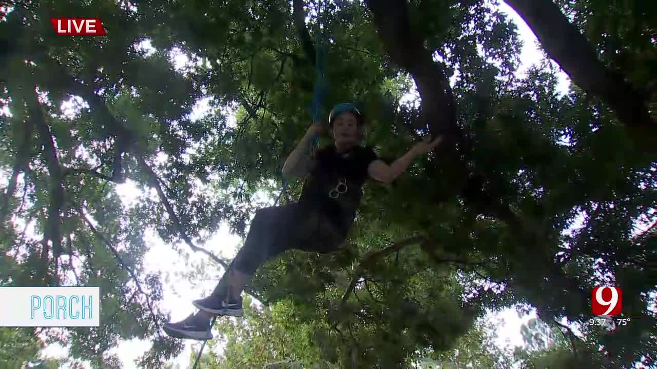 PORCH: Tree Climbing