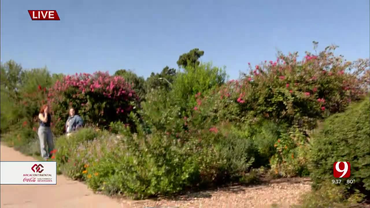 PORCH: OKC Beautiful Shares High School Environmental Program On The Porch