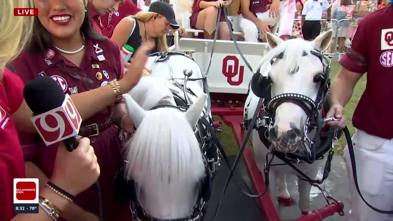 Boomer And Sooner: News 9 Meets The OU Mascots