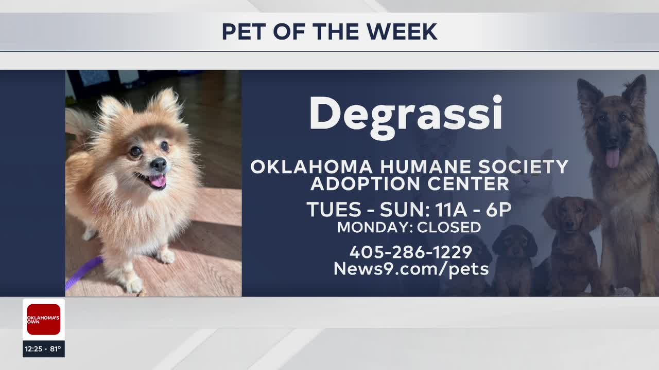 Pet Of The Week: Degrassi