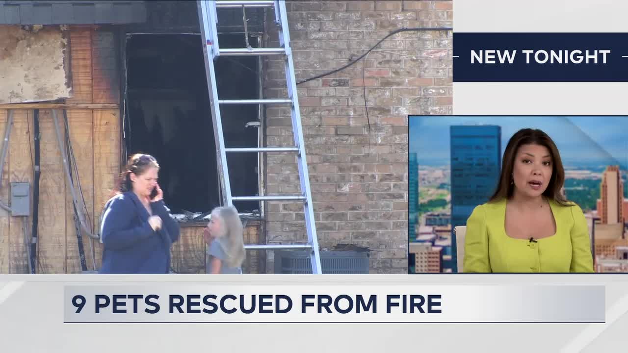 Multiple Animals Rescued From SE OKC Apartment Fire