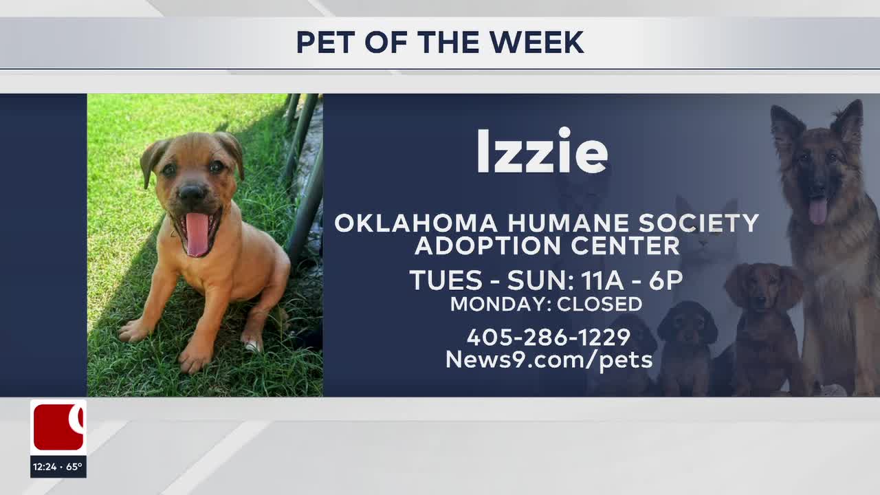 Pet Of The Week: Izzie