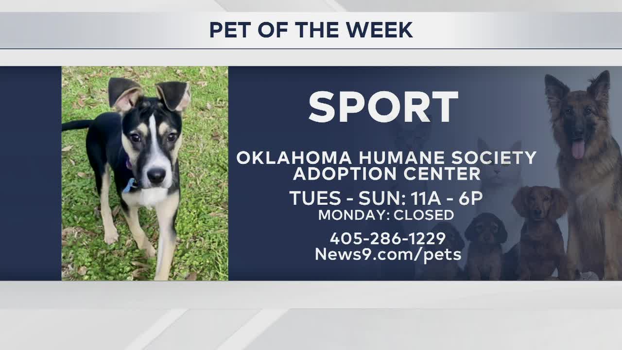 Pet Of The Week: Sport