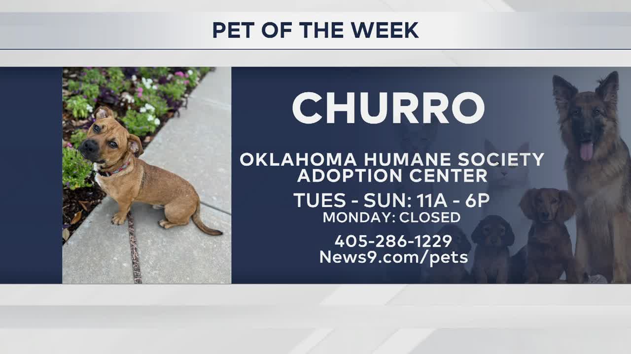 Pet of the Week: Churro