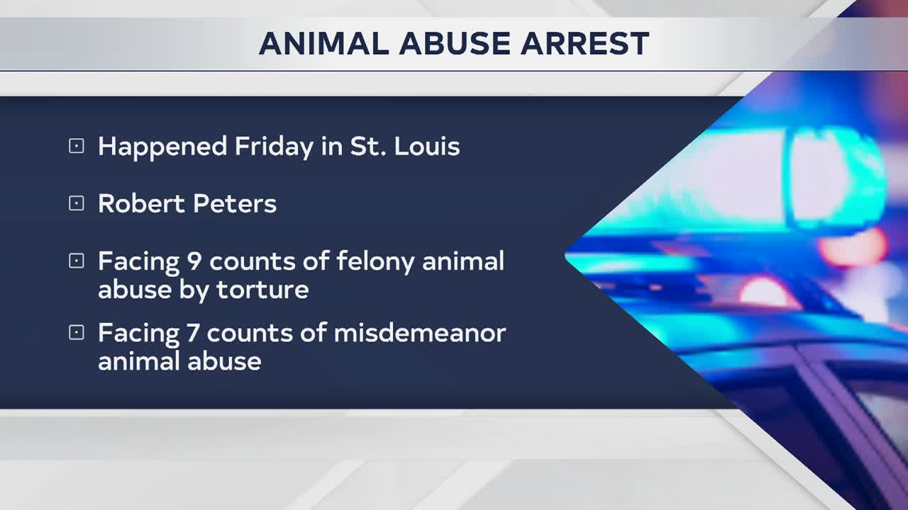 ANIMAL ABUSE