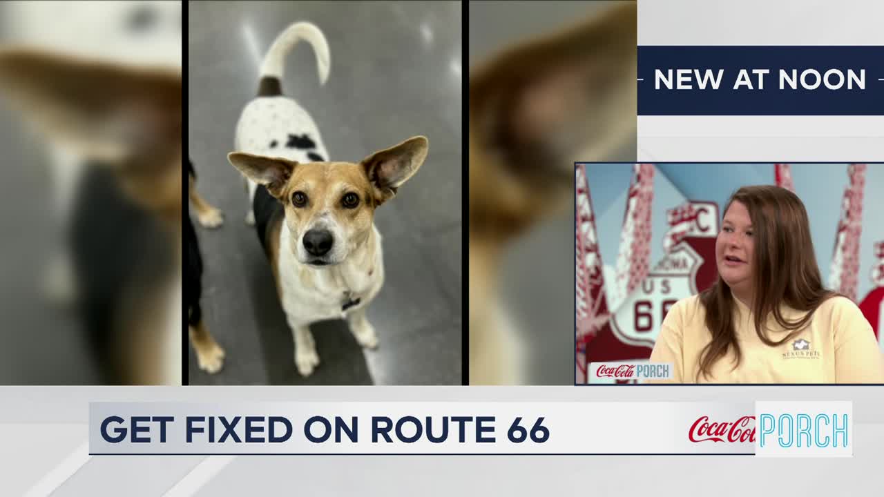 Nexus Pets Initiates Funding Campaign for Spay and Neuter Surgeries Throughout Oklahoma