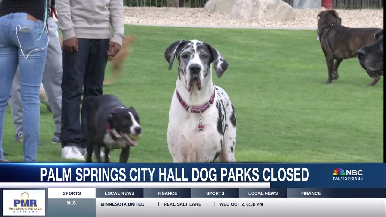 Palm Springs Dog Parks to Close for Annual Maintenance Starting November 6