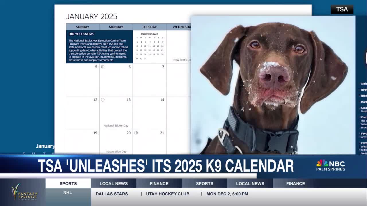 TSA Launches 2025 K9 Calendar to Honor Detection Dogs