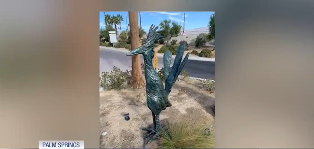Palm Springs HOA Offers $10,000 Reward for Return of Beloved Roadrunner ...