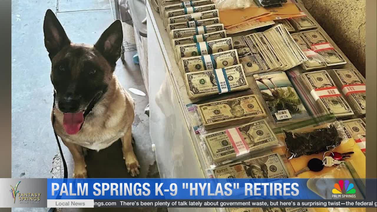 Palm Springs Police Department Transitions K-9 Units as Veteran Dog Retires
