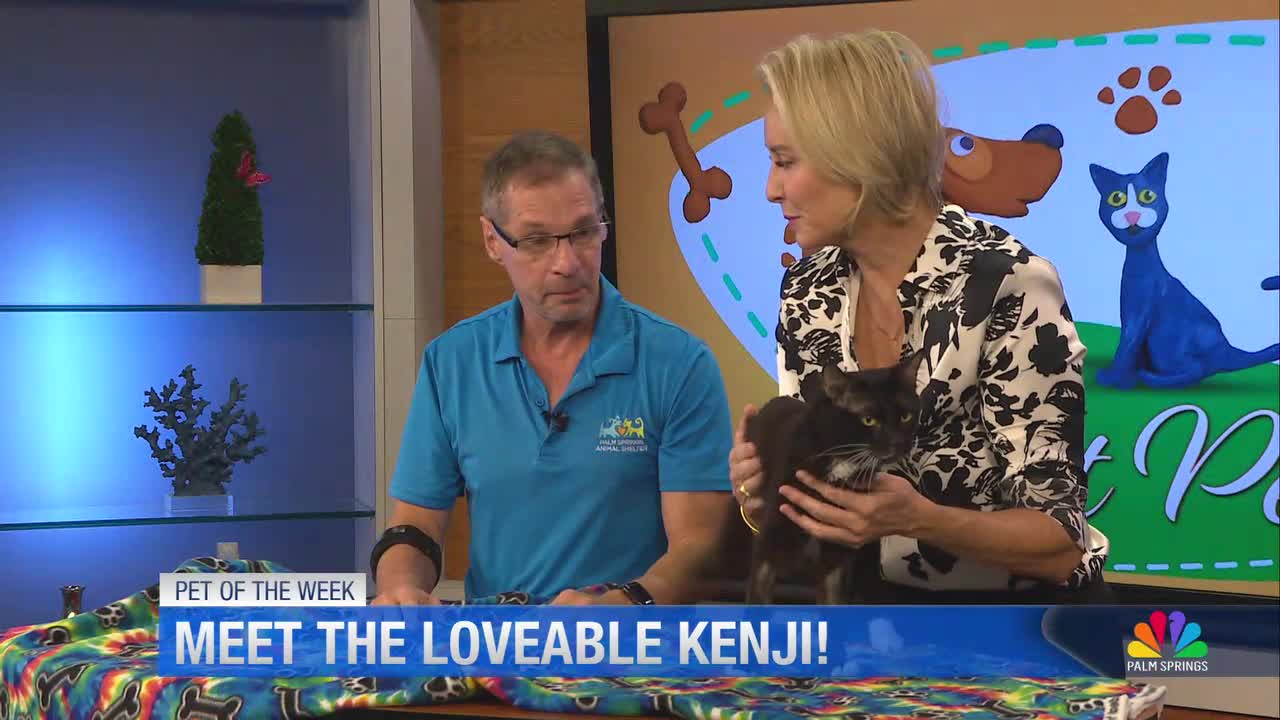 Pet of the Week: Meet Kenji and Friends from Palm Springs Animal Shelter