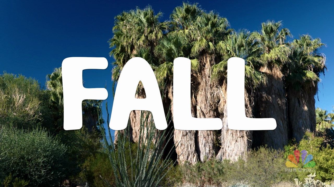 More Than A ZOO: FALL