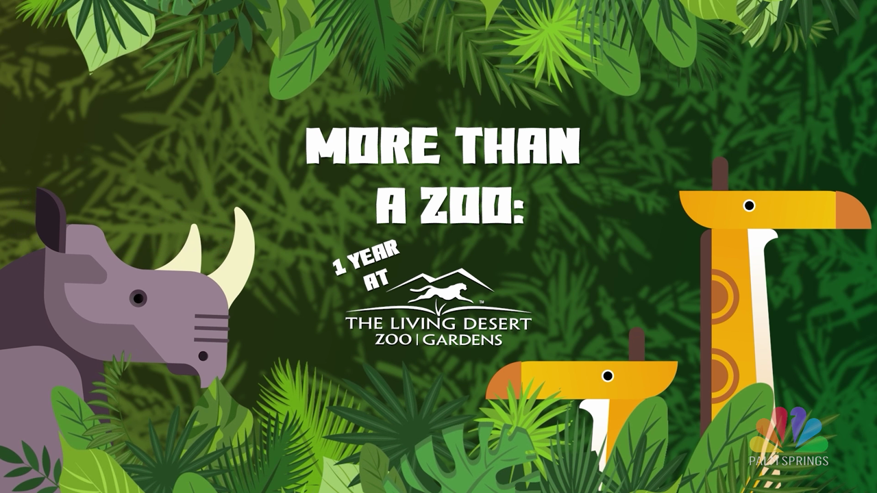 More Than A Zoo: 1 year At The Living Desert