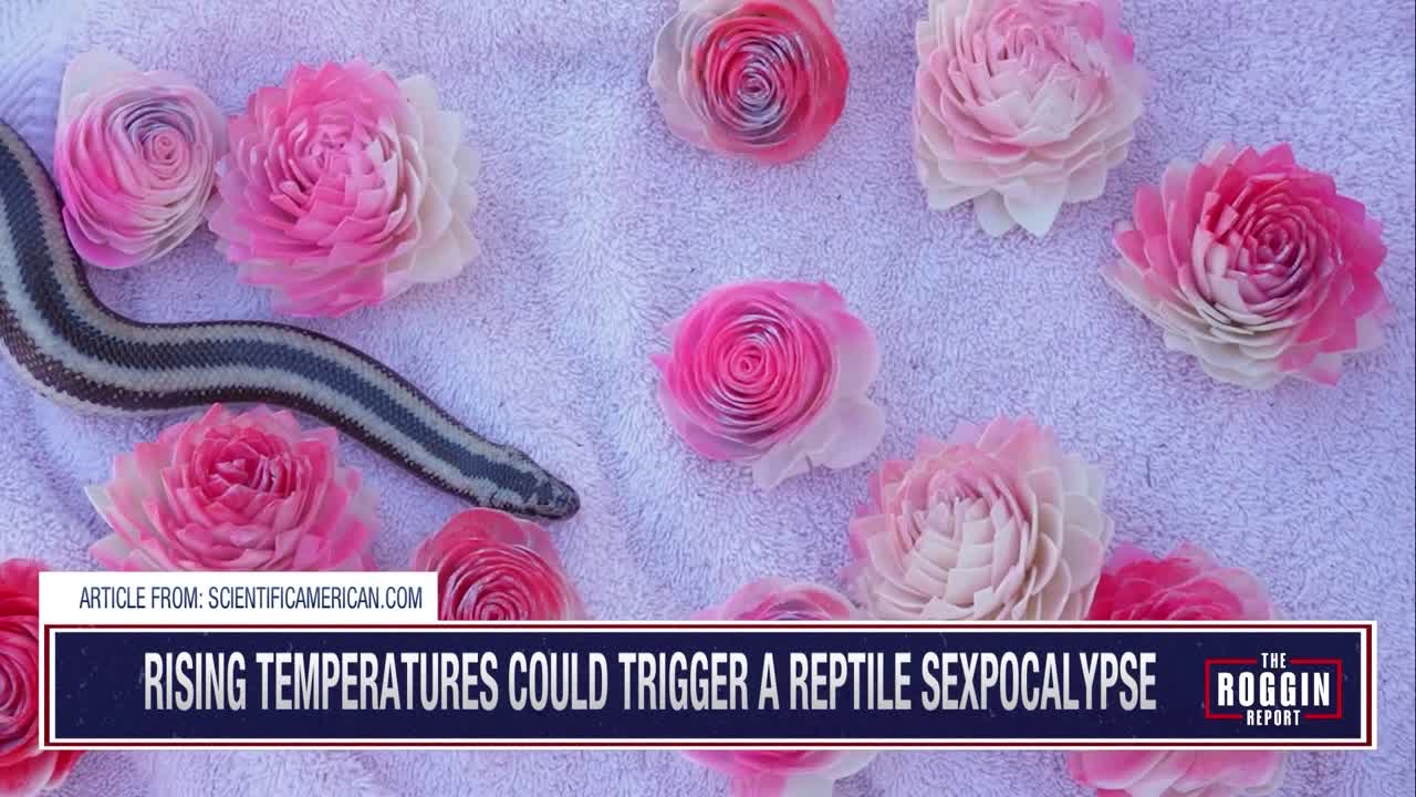 The Reptile "Sexpocalypse": How Rising Heat is Rigging the Genetic Lottery