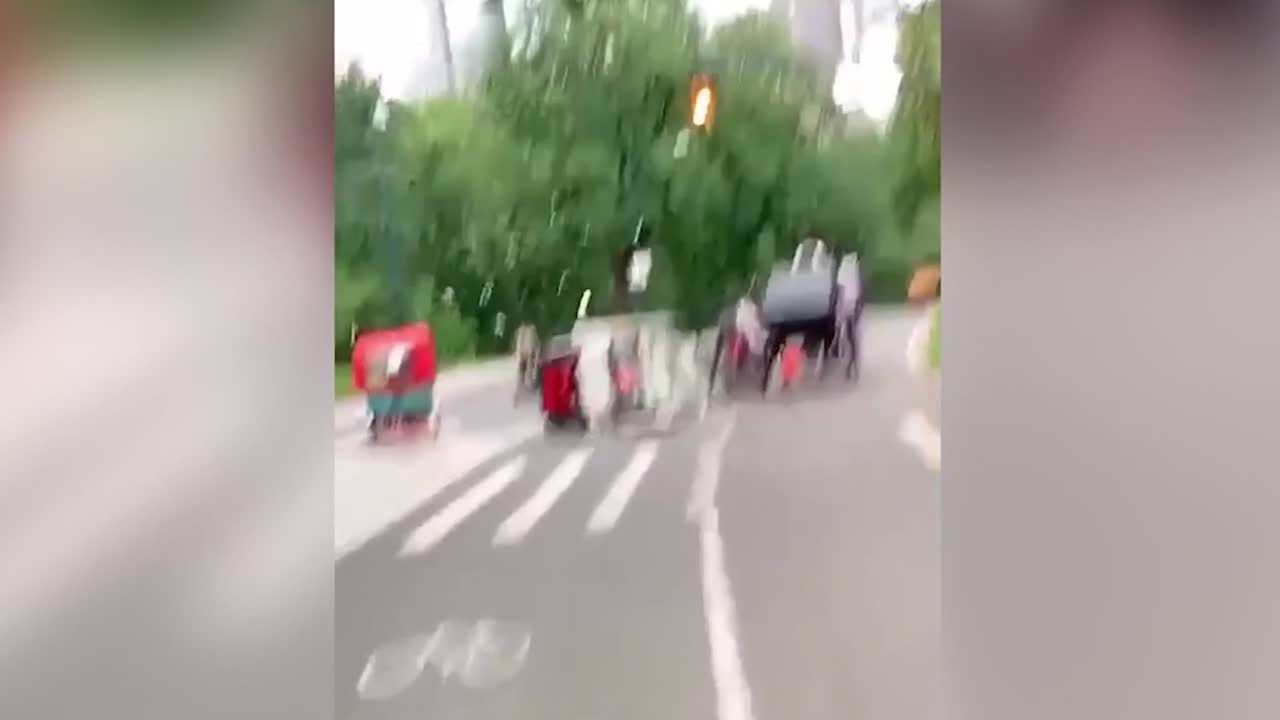 Calls Grow to Ban Horse-Drawn Carriages in Central Park After Tourist Death